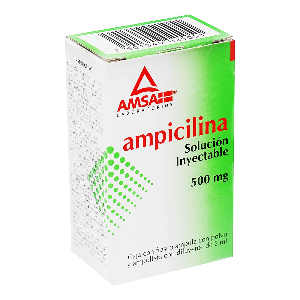 AMPICILINA 1 FA 500MG 2ML AMSA