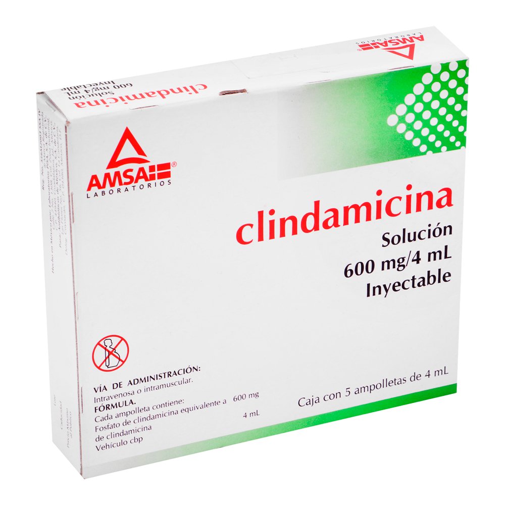 CLINDAMICINA 5 FA 600MG/4 ML