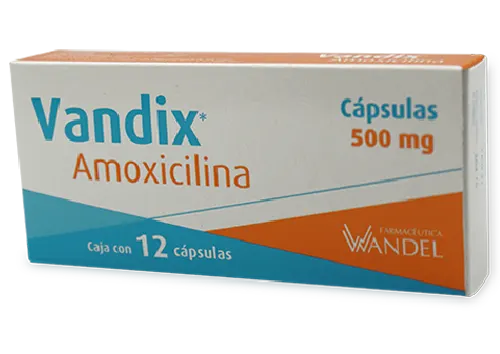AMOXICILINA 500 MG 12 CAPS  LGEN