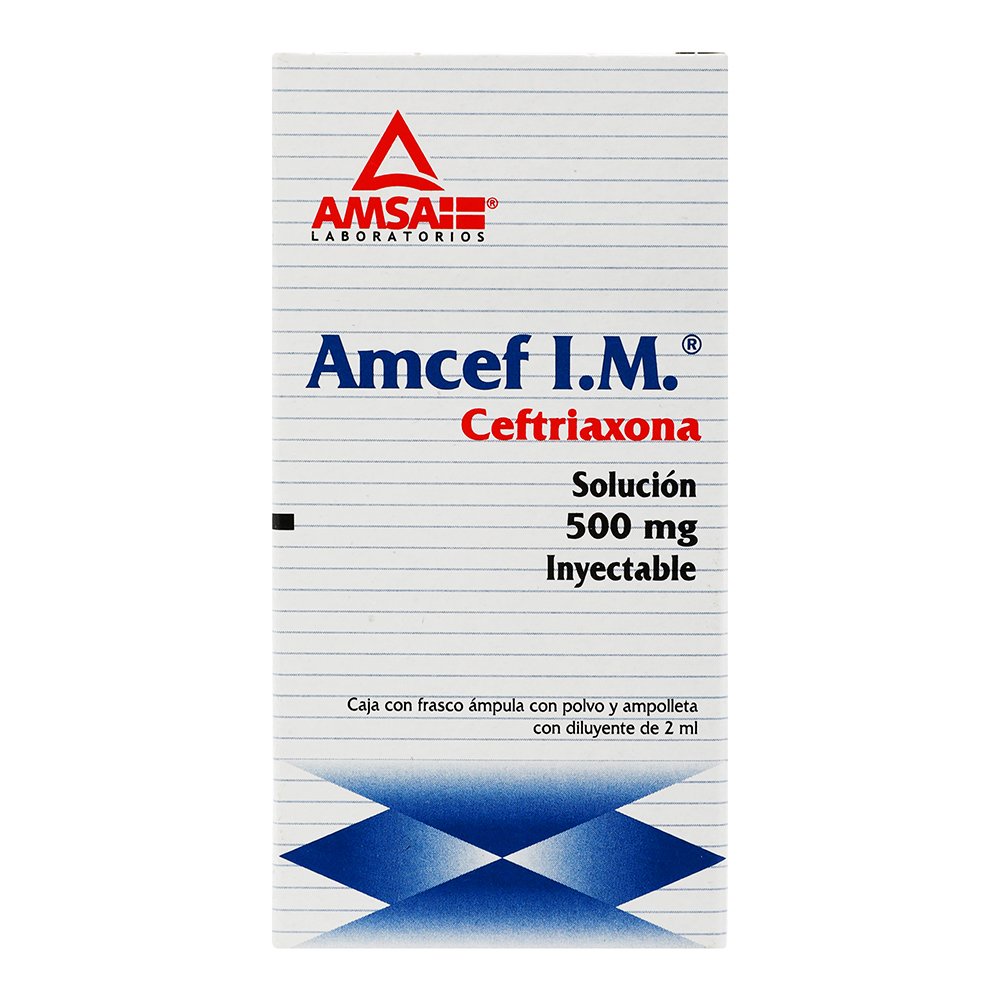 AMCEF 500MG AMP IM 2ML  AMSA