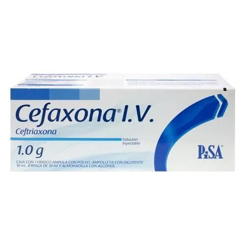CEFAXONA IV 1G F A 10 ML 0621