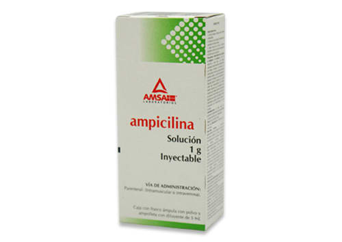 AMPICILINA SOL INY 1GR  AMSA