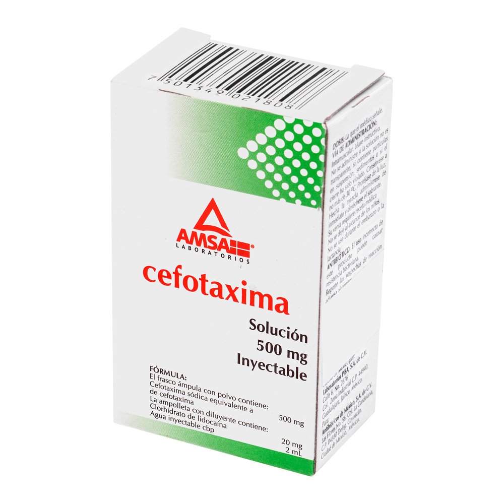 CEFOTAXIMA 1 AMP 500MG IM 2ML  AMSA