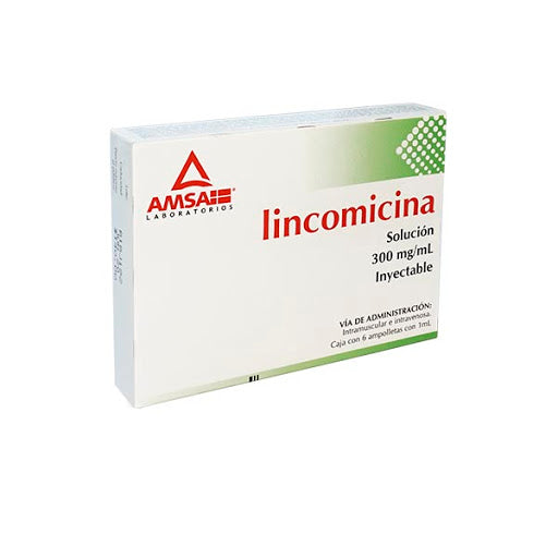 LINCOMICINA 6 AMP 300MG   AMSA