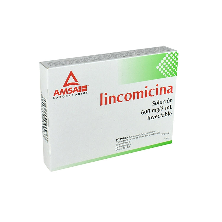 LINCOMICINA 6 AMP 600MG  AMSA